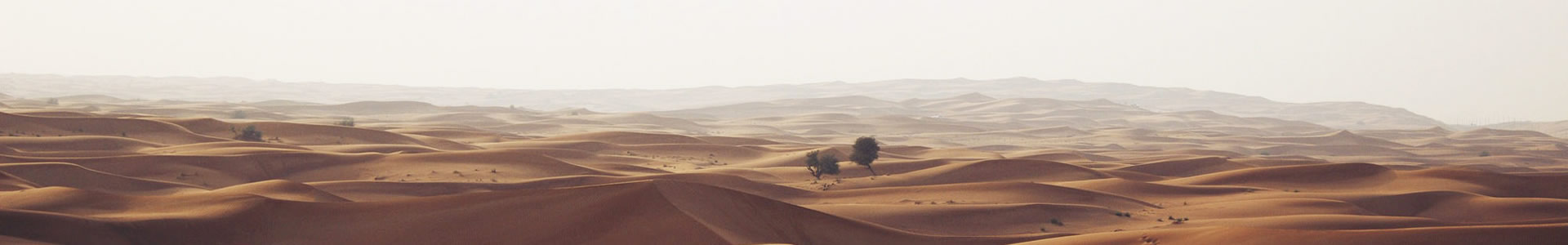 ޿Ƽѯ޹˾